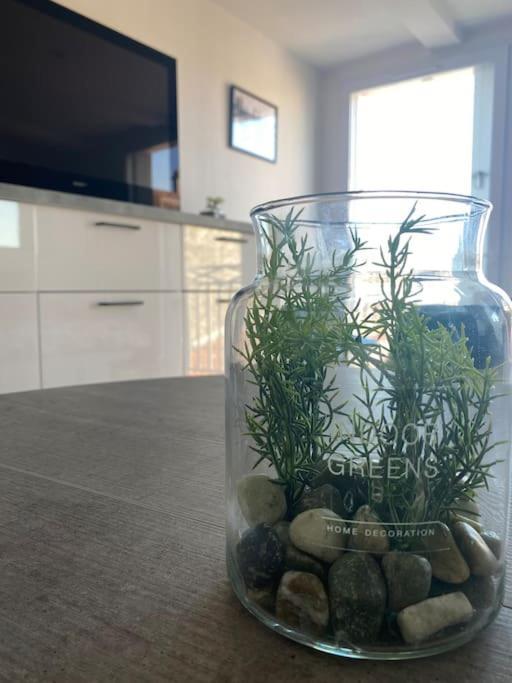 Appartement En Plein Coeur Du Centre Ville Les Sables-dʼOlonne Kültér fotó